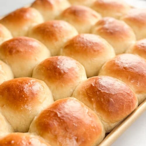 Close up photo of fresh homemade dinner rolls in a sheet pan